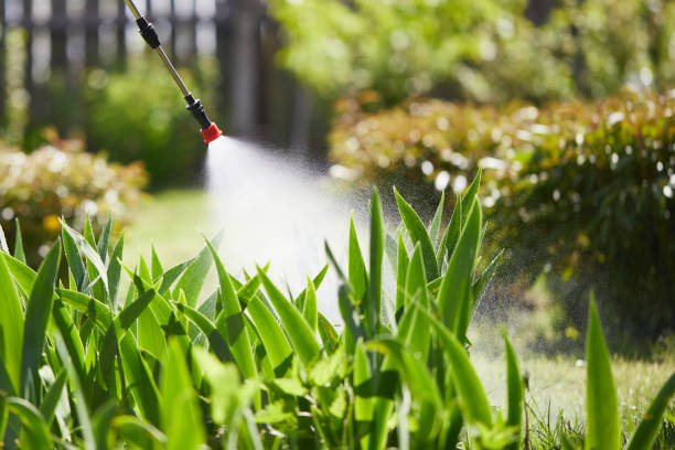 24/7 Emergency Ant Control experts in Guernsey, WY